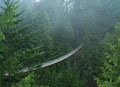 Capilano Suspension Bridge & Park image 3