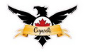 Carparelli Guitars - Brian Walker, Sales Director logo