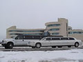 Carpe Diem Limousine Service image 2