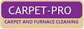 Carpet-Pro Carpet & Furnace Cleaning Ltd logo