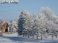 Cedar Lodge Hotel and Convention Center image 3