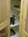 Charing Cross Cat Clinic image 3
