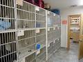 Charlottetown Veterinary Clinic image 3