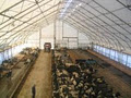 Clearydale Farms image 3