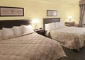 Comfort Hotel & Suites image 2