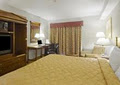 Comfort INN Welland image 4