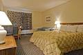 Comfort Inn Cobourg image 3