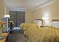 Comfort Inn Fredericton image 4