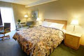 Comfort Inn London image 2