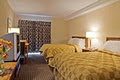 Comfort Inn London image 4