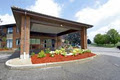 Comfort Inn Newmarket image 4