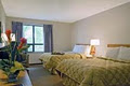 Comfort Inn Ottawa West image 4
