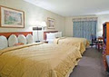 Comfort Inn & Suites South image 3