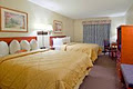 Comfort Inn & Suites South image 4
