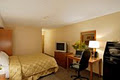 Comfort Inn Truro image 5