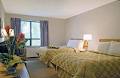 Comfort Inn image 4
