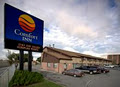 Comfort Inn logo