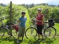 Comox Valley Economic Development Society image 3
