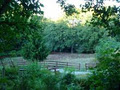 Creekside Equestrian Center image 3