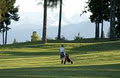Crown Isle Resort and Golf Community image 6