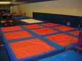 Cygnus Gymnastics Training Centre image 3