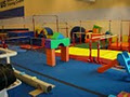 Cygnus Gymnastics Training Centre logo