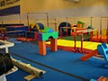 Cygnus Gymnastics Training Centre image 1