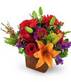 Deborah's Grower Direct Flowers and Gifts logo