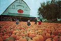 Downey's Farm Market logo