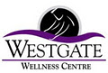 Dr. Nima Rahmany Westgate Chiropractic and Wellness Centre in Maple Ridge, BC image 2