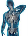Dr. Rene Asselin - Sports Chiropractor image 6