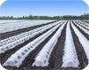 Dubois Agrinovation - Irrigation, horticulture and farm equipment products sales image 5