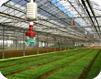 Dubois Agrinovation - Irrigation, horticulture and farm equipment products sales image 1