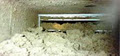 Duct cleaning Mississauga image 4
