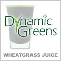 DynamicGreens Wheatgrass Juice image 2