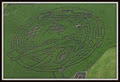 Edmonton Corn Maze image 1