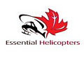 Essential Helicopters image 2