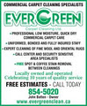 Ever-Green Carpet Cleaners image 3