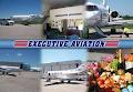 Executive Aviation Fuels Ltd image 1