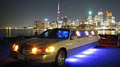Exotic Limo Services logo