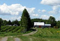 Ferme Germain Desmarais image 2
