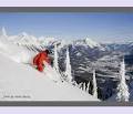 Fernie Alpine Resort logo