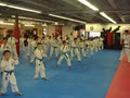 Florin's Ultimate Martial Arts-MMA/Jiu Jitsu,Muay Thai/Kickboxing,Taekwon-Do image 3