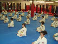 Florin's Ultimate Martial Arts-MMA/Jiu Jitsu,Muay Thai/Kickboxing,Taekwon-Do image 5