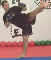 Florin's Ultimate Martial Arts-MMA/Jiu Jitsu,Muay Thai/Kickboxing,Taekwon-Do logo