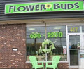 Flower Buds image 5