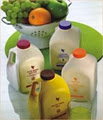 Forever Living Products (Independent Distributor) image 1
