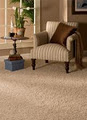 Fresh Home Carpet Cleaning logo