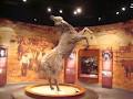 Glenbow Museum image 5