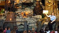 Great Wolf Lodge Resort image 5